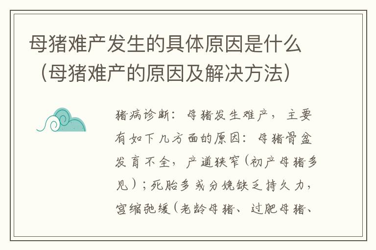 母猪难产发生的具体原因是什么（母猪难产的原因及解决方法）