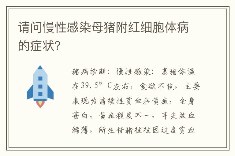 请问慢性感染母猪附红细胞体病的症状？