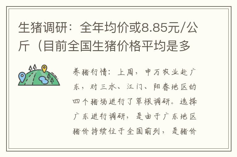 生猪调研：全年均价或8.85元/公斤（目前全国生猪价格平均是多少钱一斤）