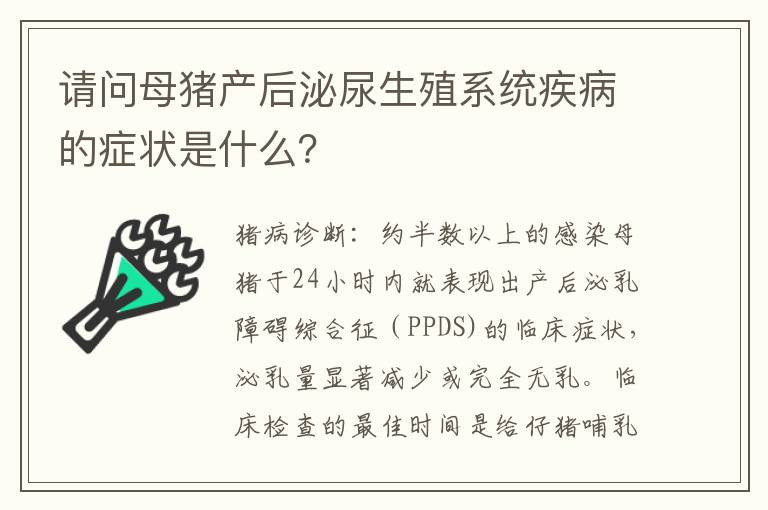 请问母猪产后泌尿生殖系统疾病的症状是什么？