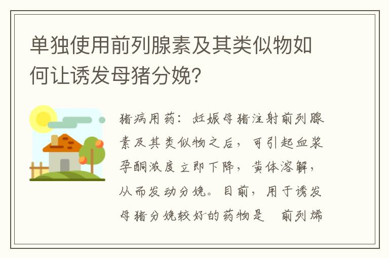 单独使用前列腺素及其类似物如何让诱发母猪分娩？