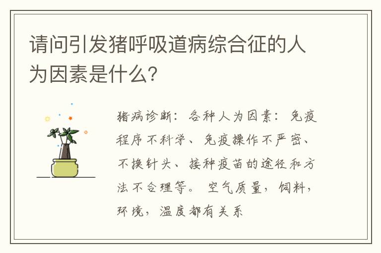 请问引发猪呼吸道病综合征的人为因素是什么？