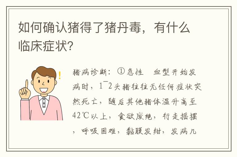 如何确认猪得了猪丹毒，有什么临床症状？