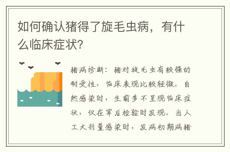 如何确认猪得了旋毛虫病，有什么临床症状？