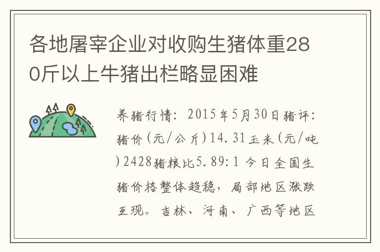 各地屠宰企业对收购生猪体重280斤以上牛猪出栏略显困难