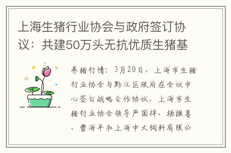 上海生猪行业协会与政府签订协议：共建50万头无抗优质生猪基地