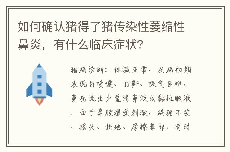 如何确认猪得了猪传染性萎缩性鼻炎，有什么临床症状？