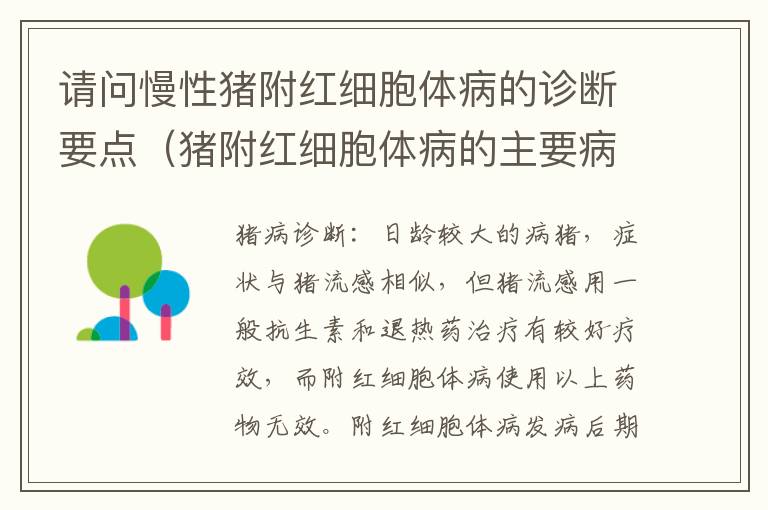 请问慢性猪附红细胞体病的诊断要点（猪附红细胞体病的主要病理变化是）