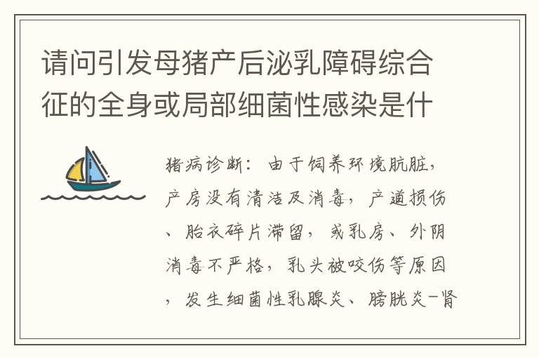 请问引发母猪产后泌乳障碍综合征的全身或局部细菌性感染是什么？