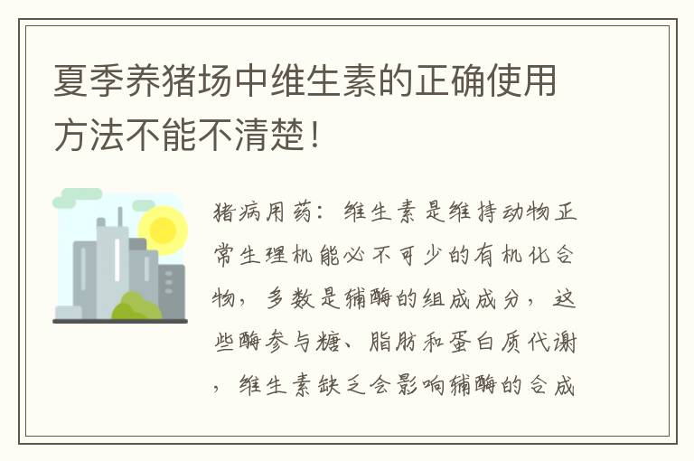 夏季养猪场中维生素的正确使用方法不能不清楚！