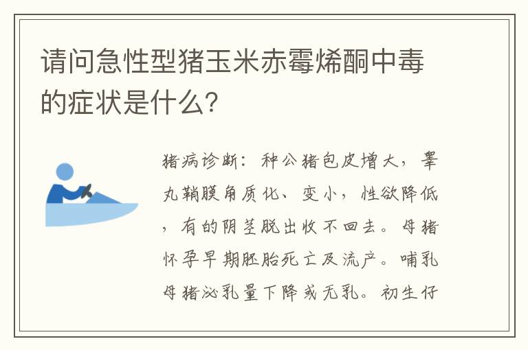 请问急性型猪玉米赤霉烯酮中毒的症状是什么？