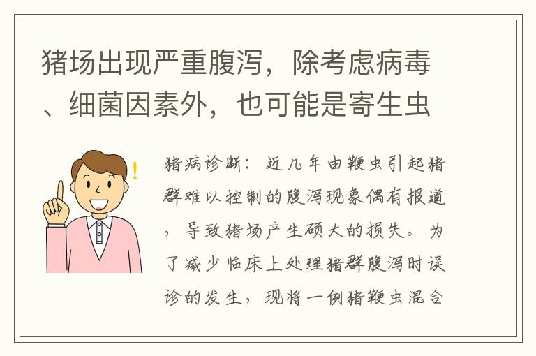 猪场出现严重腹泻，除考虑病毒、细菌因素外，也可能是寄生虫惹的