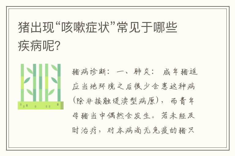 猪出现“咳嗽症状”常见于哪些疾病呢？