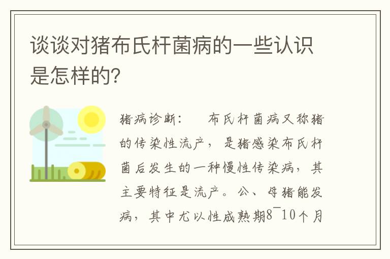 谈谈对猪布氏杆菌病的一些认识是怎样的？