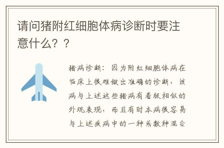 请问猪附红细胞体病诊断时要注意什么？？