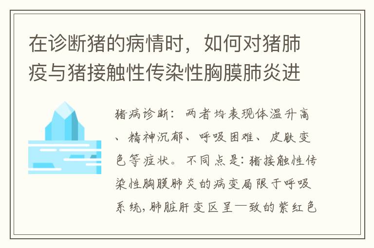 在诊断猪的病情时，如何对猪肺疫与猪接触性传染性胸膜肺炎进行鉴