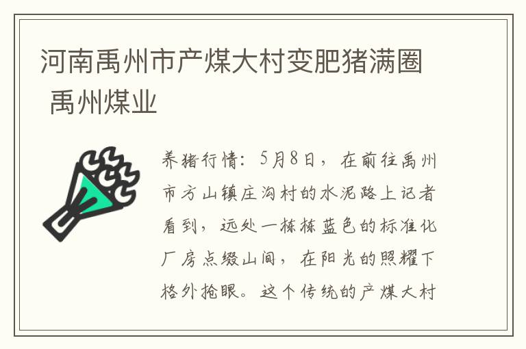 河南禹州市产煤大村变肥猪满圈 禹州煤业