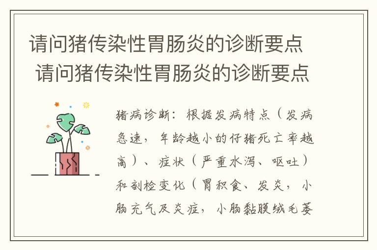 请问猪传染性胃肠炎的诊断要点 请问猪传染性胃肠炎的诊断要点是什么