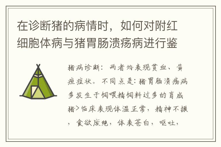 在诊断猪的病情时，如何对附红细胞体病与猪胃肠溃疡病进行鉴别？