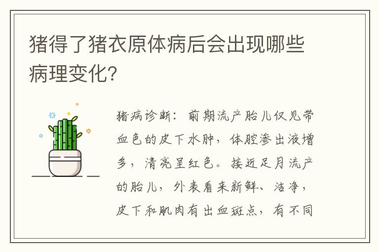 猪得了猪衣原体病后会出现哪些病理变化？