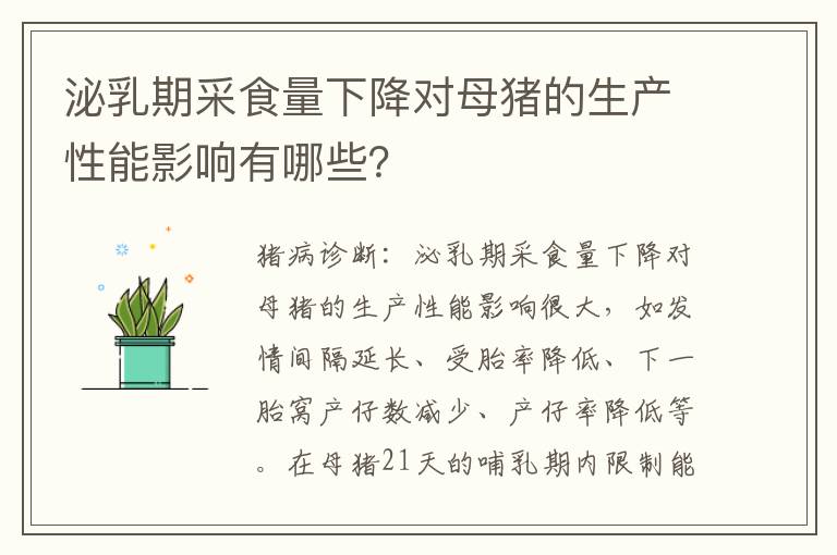 泌乳期采食量下降对母猪的生产性能影响有哪些？