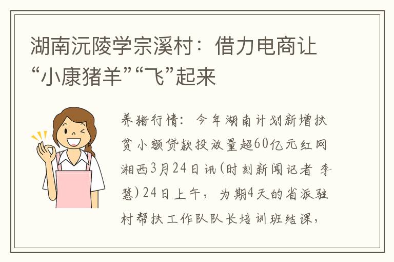 湖南沅陵学宗溪村：借力电商让“小康猪羊”“飞”起来