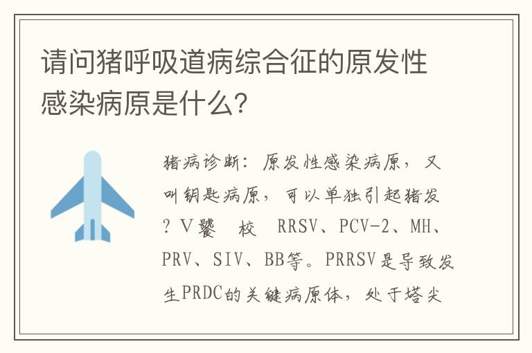 请问猪呼吸道病综合征的原发性感染病原是什么？