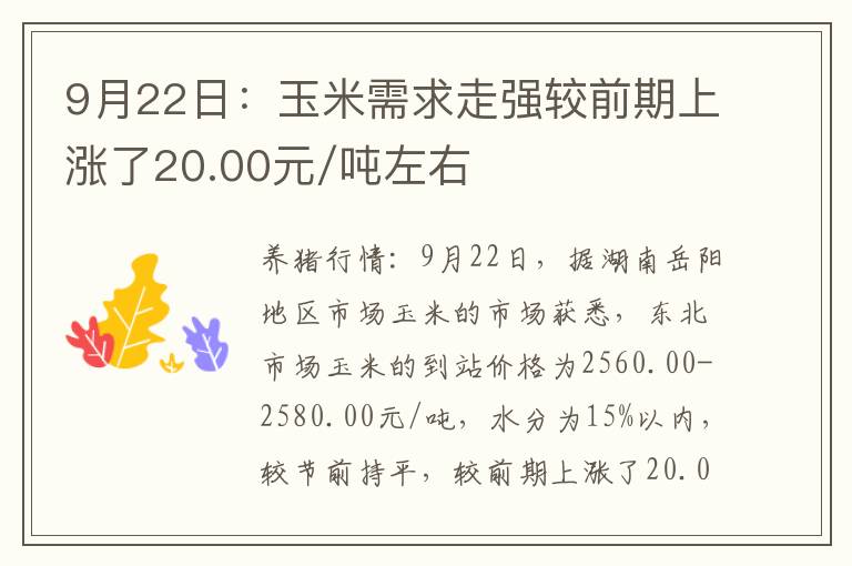 9月22日：玉米需求走强较前期上涨了20.00元/吨左右