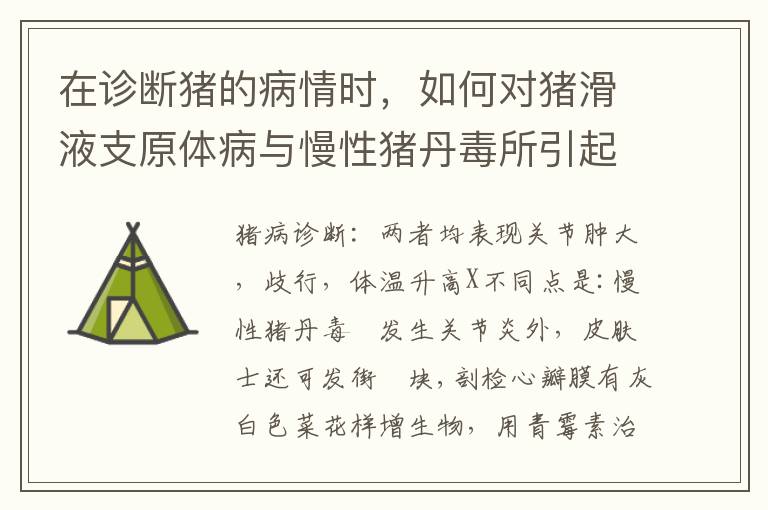 在诊断猪的病情时，如何对猪滑液支原体病与慢性猪丹毒所引起的关