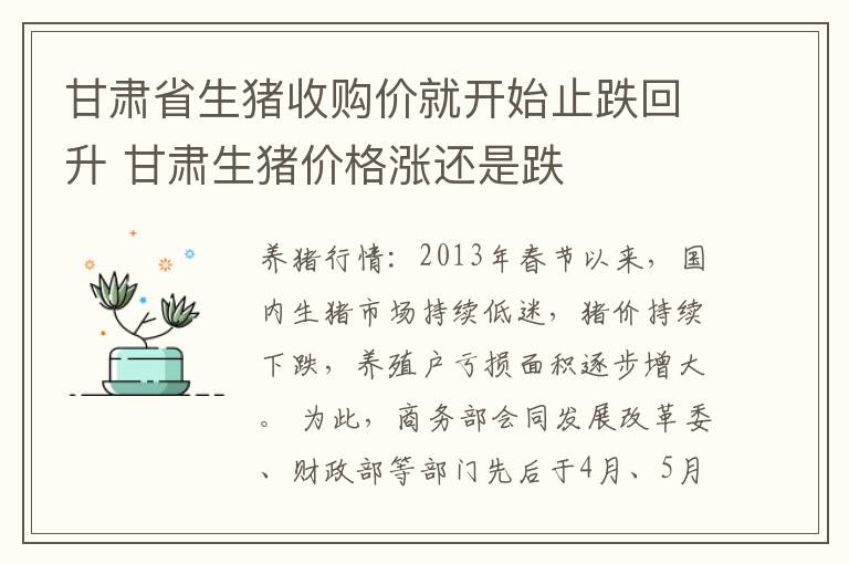 甘肃省生猪收购价就开始止跌回升 甘肃生猪价格涨还是跌