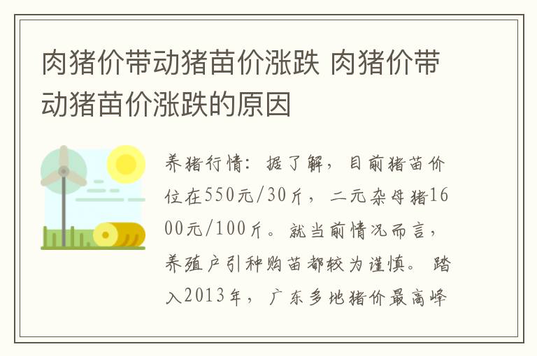 肉猪价带动猪苗价涨跌 肉猪价带动猪苗价涨跌的原因