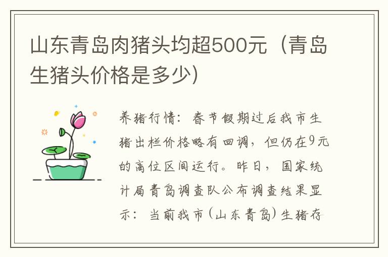 山东青岛肉猪头均超500元（青岛生猪头价格是多少）