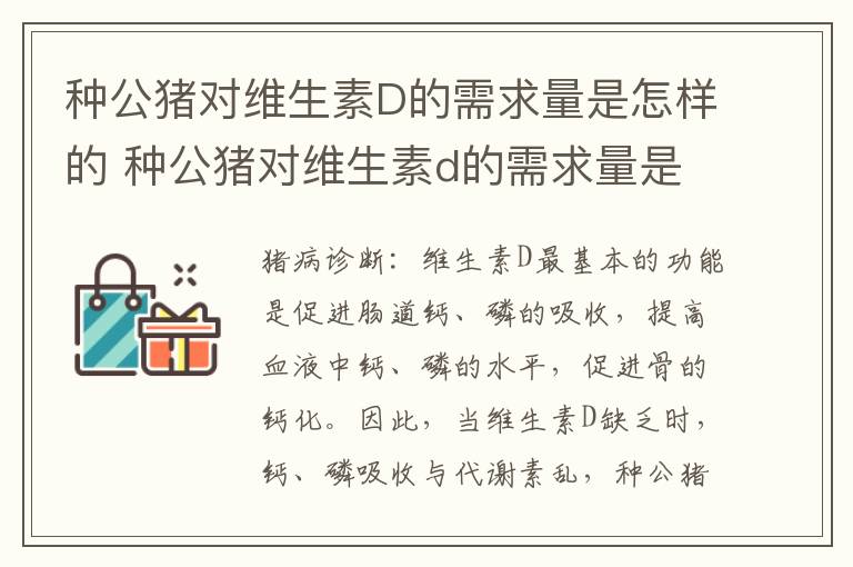 种公猪对维生素D的需求量是怎样的 种公猪对维生素d的需求量是怎样的