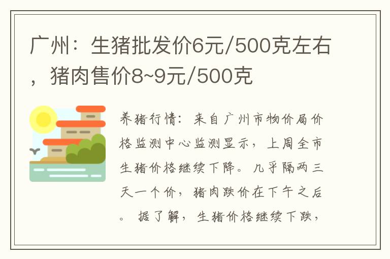 广州：生猪批发价6元/500克左右，猪肉售价8~9元/500克