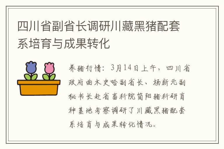 四川省副省长调研川藏黑猪配套系培育与成果转化