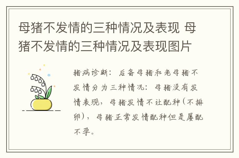 母猪不发情的三种情况及表现 母猪不发情的三种情况及表现图片