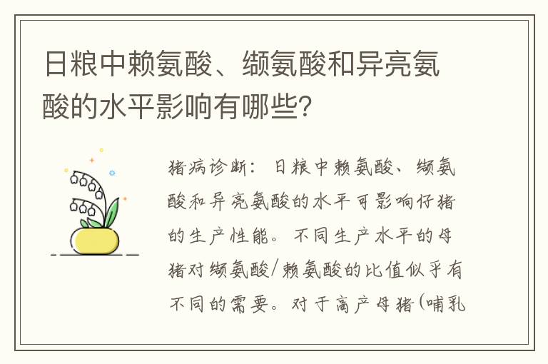 日粮中赖氨酸、缬氨酸和异亮氨酸的水平影响有哪些？