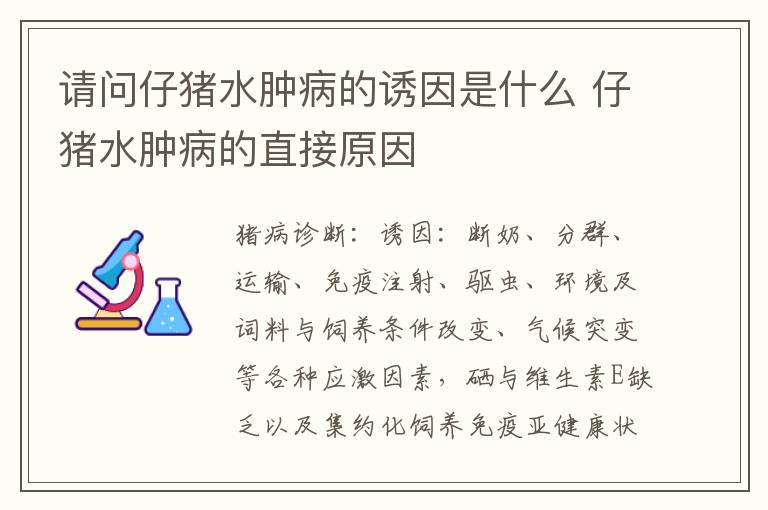 请问仔猪水肿病的诱因是什么 仔猪水肿病的直接原因