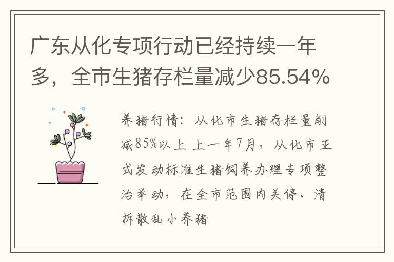 广东从化专项行动已经持续一年多，全市生猪存栏量减少85.54%