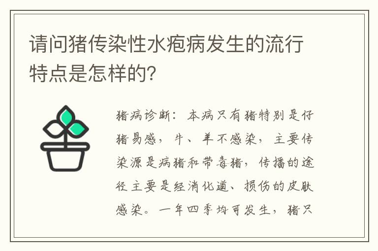 请问猪传染性水疱病发生的流行特点是怎样的？