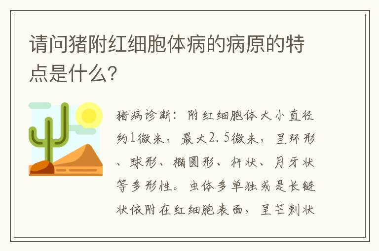 请问猪附红细胞体病的病原的特点是什么？