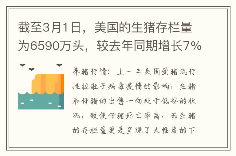 截至3月1日，美国的生猪存栏量为6590万头，较去年同期增长7%