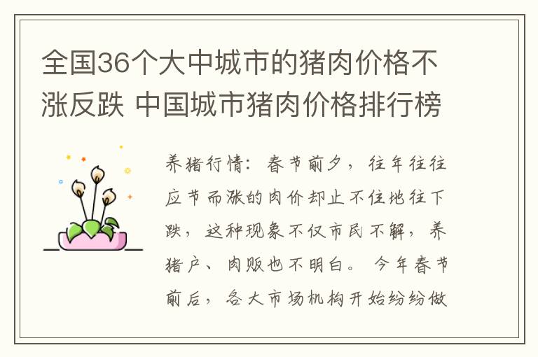 全国36个大中城市的猪肉价格不涨反跌 中国城市猪肉价格排行榜