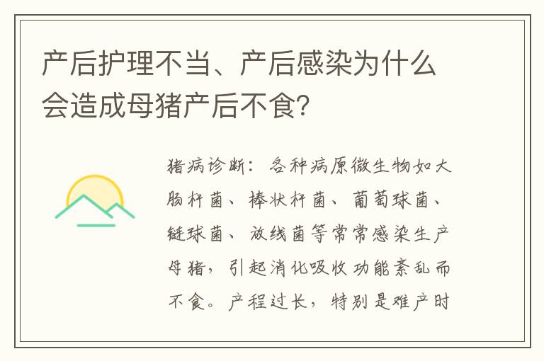 产后护理不当、产后感染为什么会造成母猪产后不食？