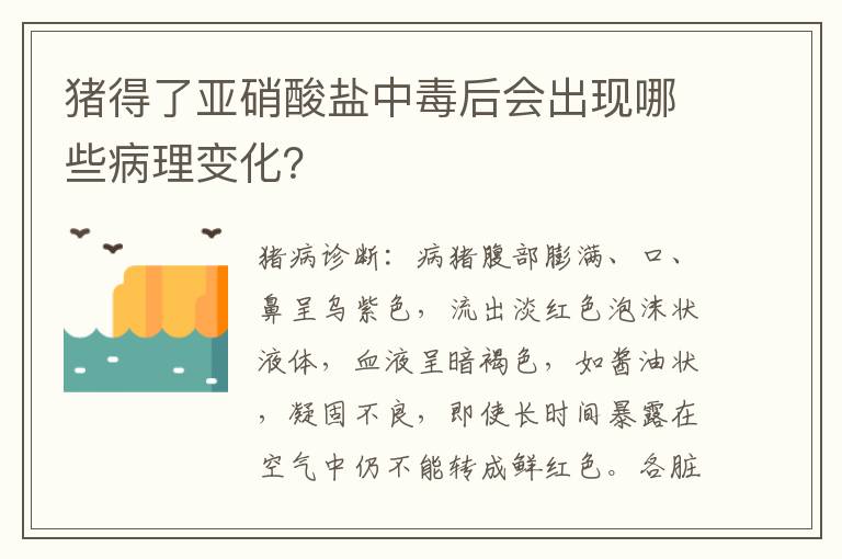 猪得了亚硝酸盐中毒后会出现哪些病理变化？