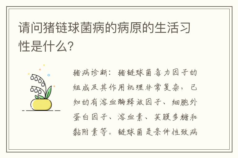 请问猪链球菌病的病原的生活习性是什么？