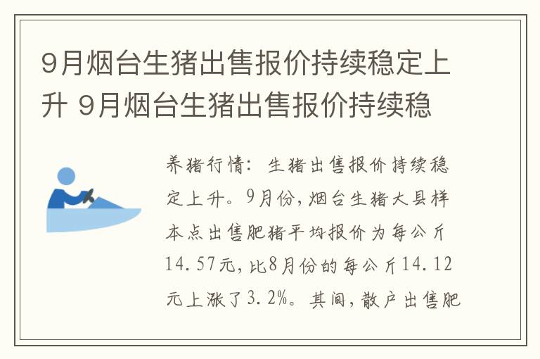 9月烟台生猪出售报价持续稳定上升 9月烟台生猪出售报价持续稳定上升