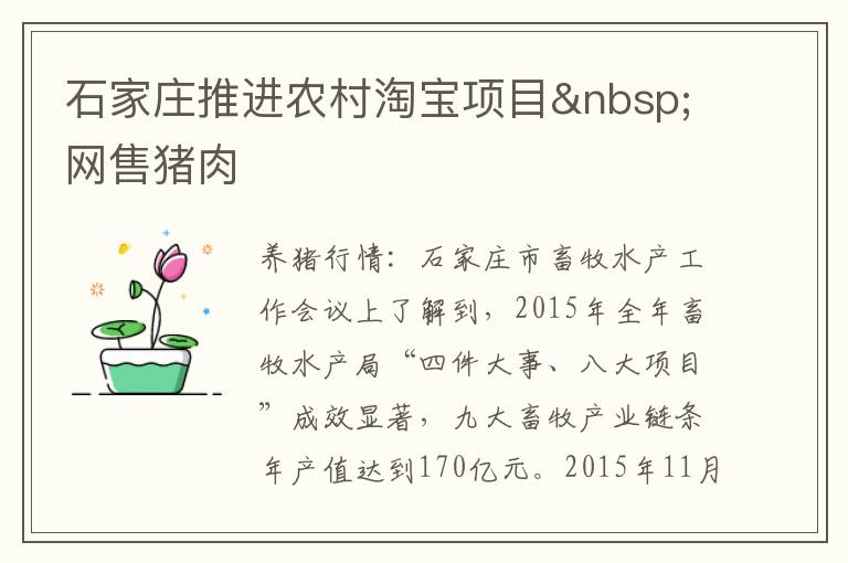 石家庄推进农村淘宝项目 网售猪肉