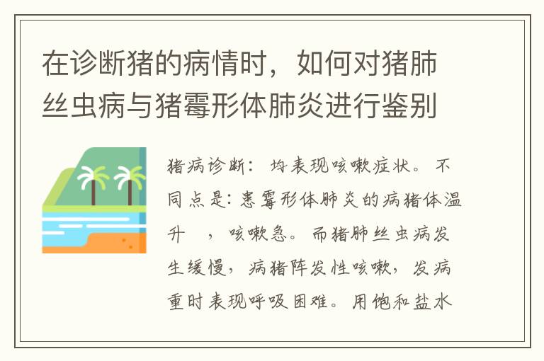 在诊断猪的病情时，如何对猪肺丝虫病与猪霉形体肺炎进行鉴别？