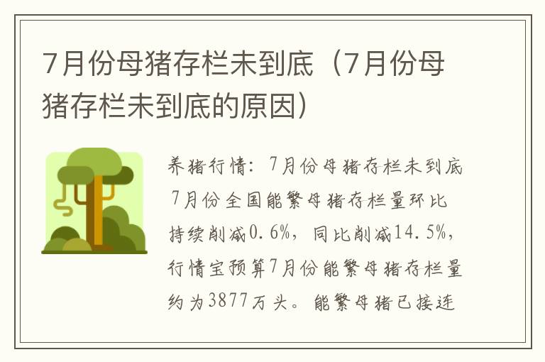 7月份母猪存栏未到底（7月份母猪存栏未到底的原因）